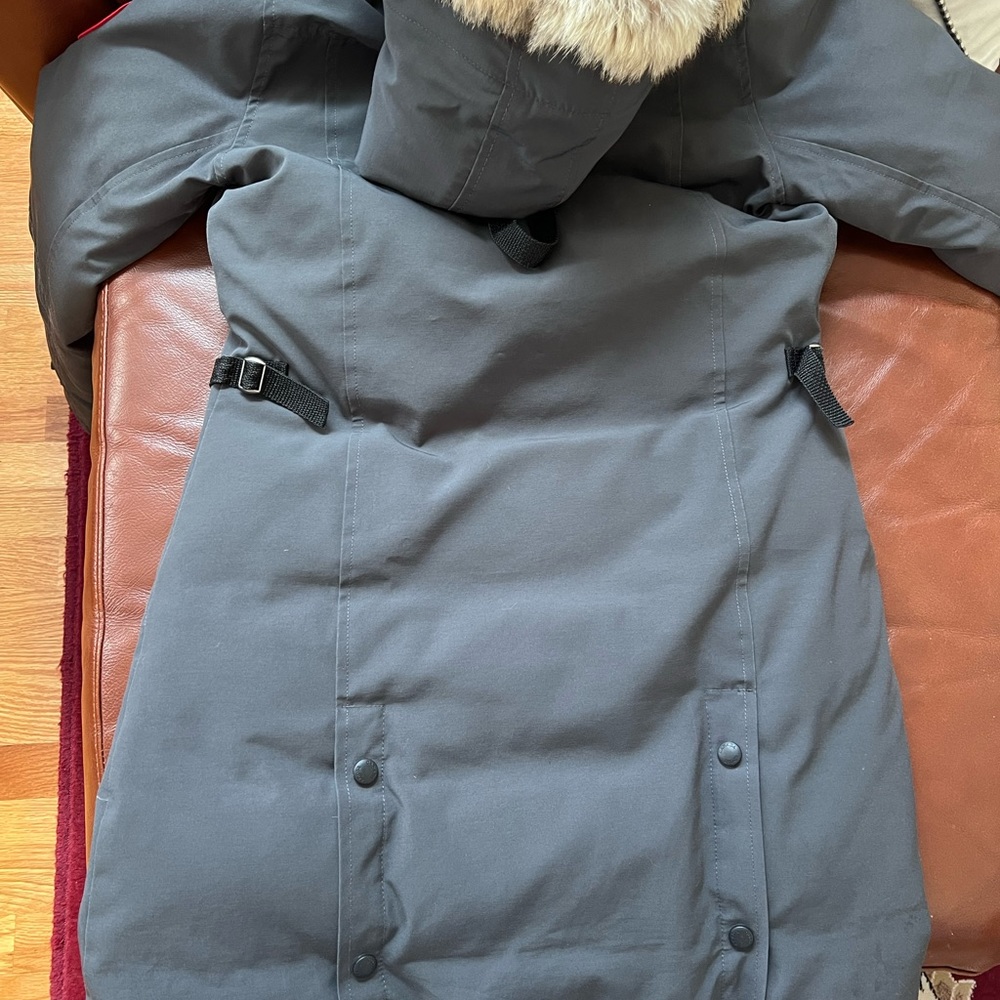 More pics of Canada goose Kensington